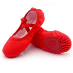 Load image into Gallery viewer, Canvas  Shoes
