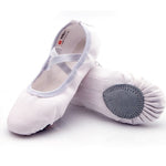 Load image into Gallery viewer, Canvas  Shoes
