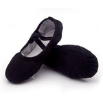 Load image into Gallery viewer, Canvas  Shoes
