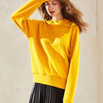 Load image into Gallery viewer, velvet Basic Hoodies
